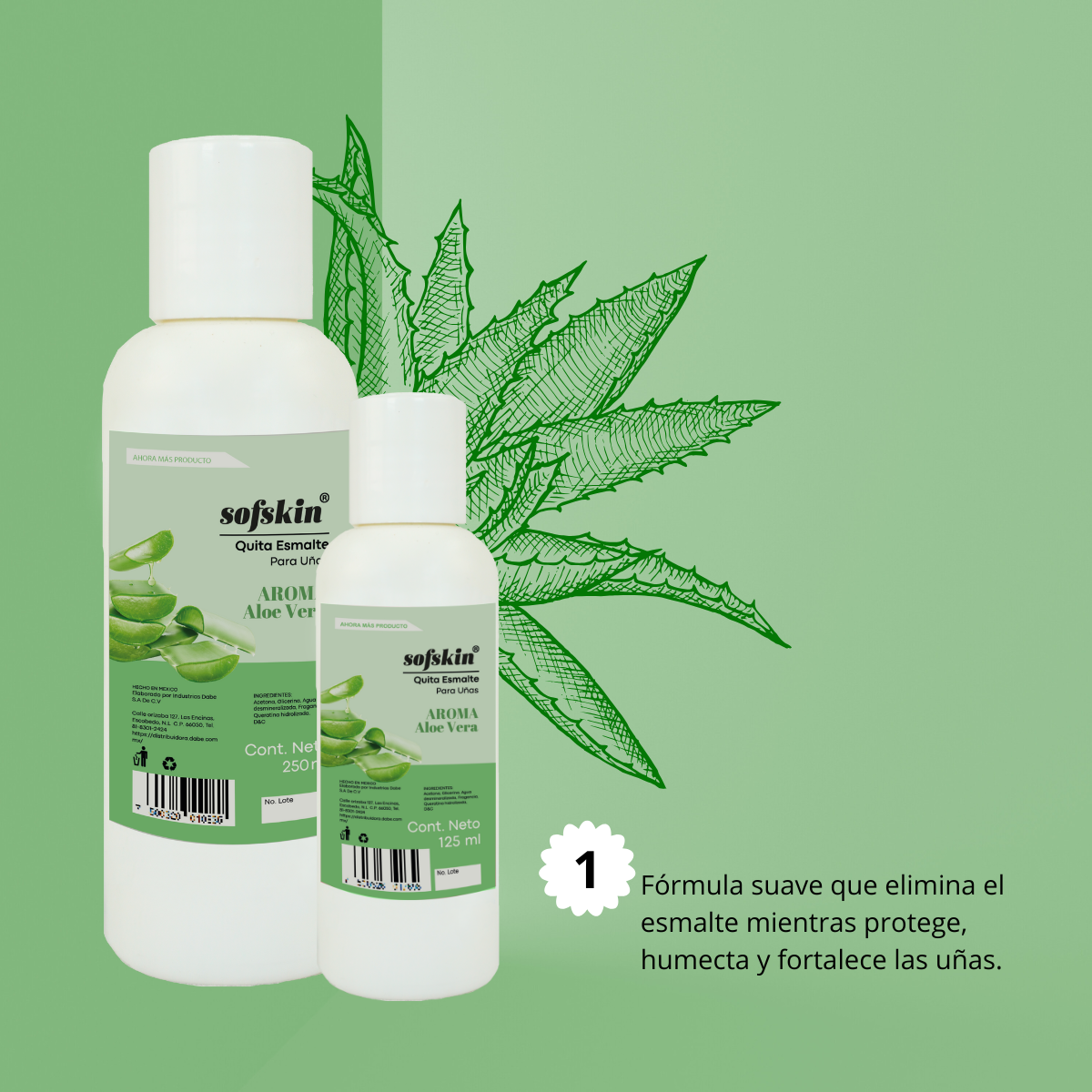 Aloe Vera