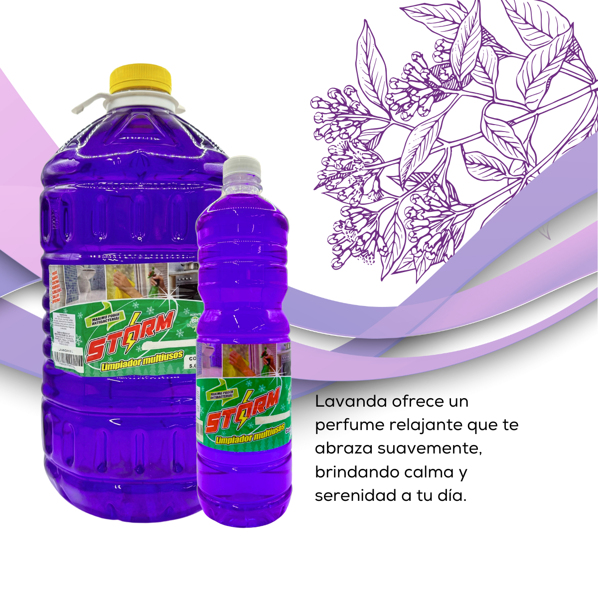 Lavanda