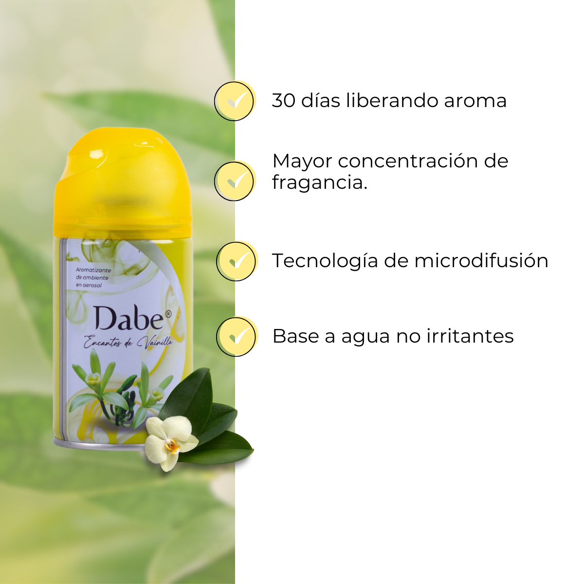 Encantos de Vainilla