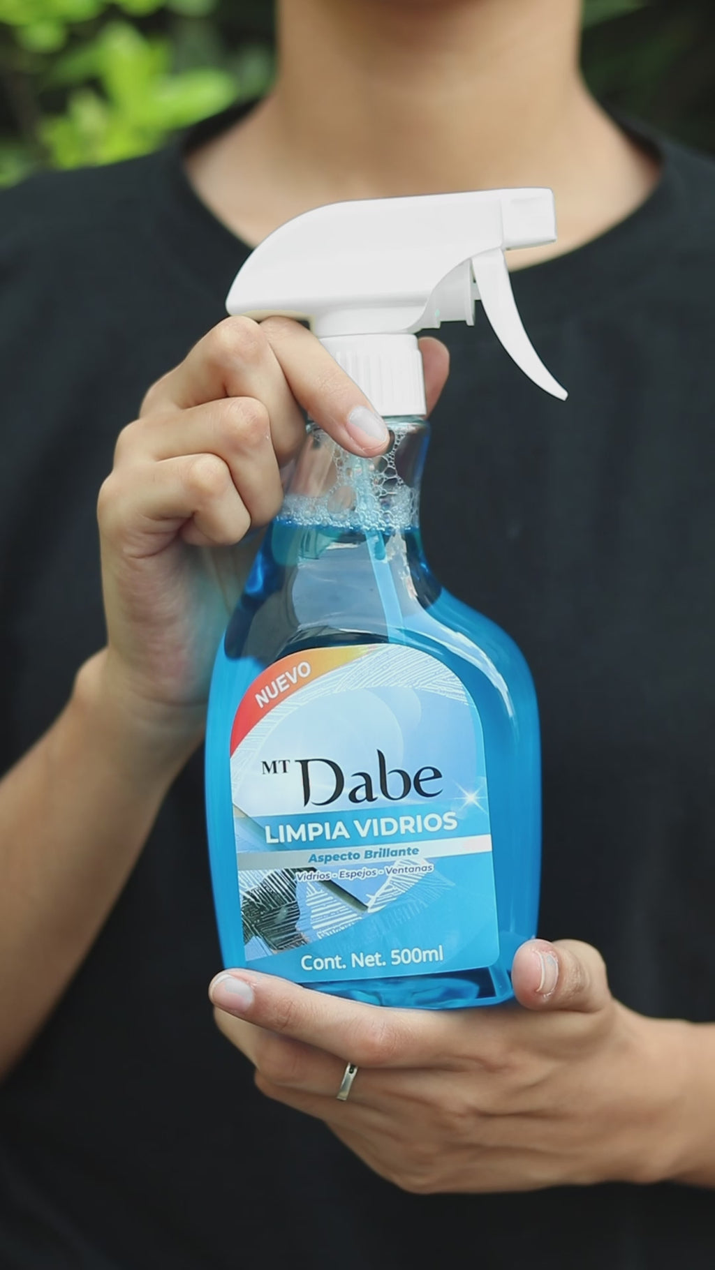 Limpiavidrios 500ml